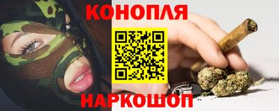 гидра Дубна