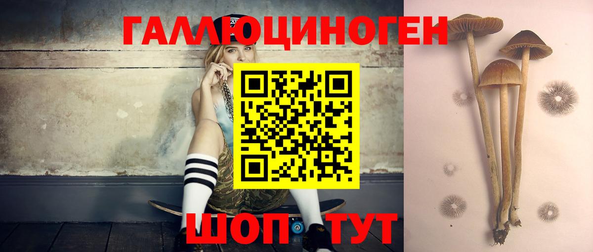 Галлюциногенные грибы ЛСД Надым